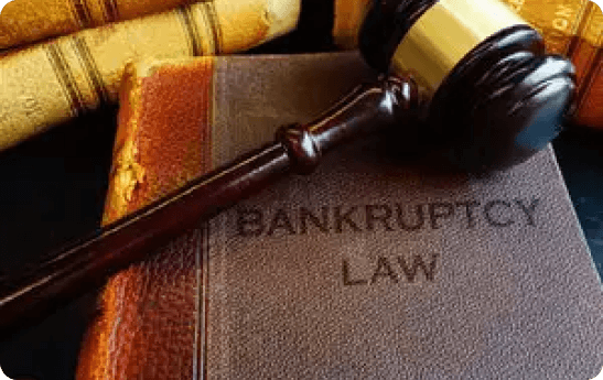 Insolvency And Bankruptcy