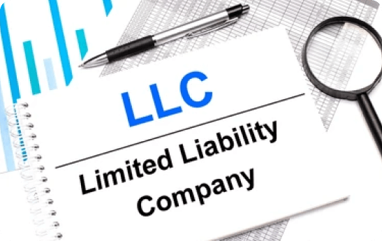 Limited Liability Joint Venture